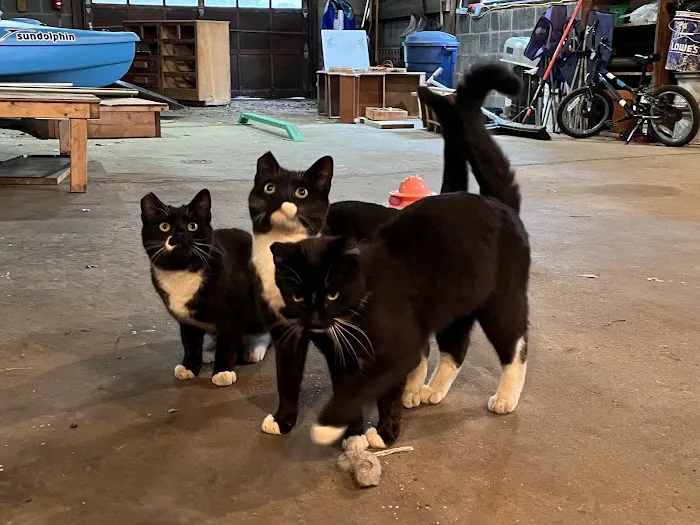 Westbrook Veterinary Hospital Picture 7