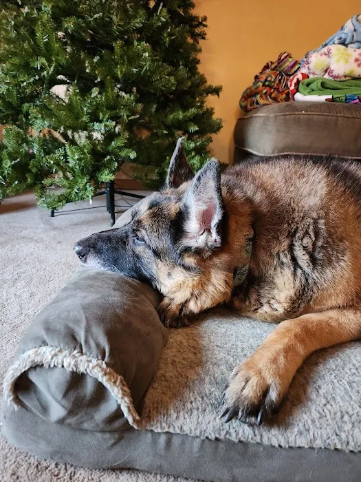 Westbrook Veterinary Hospital Picture 5