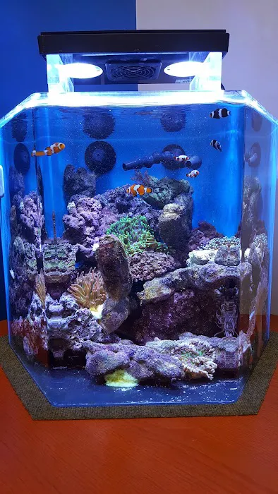 Living Art Aquatics, Inc. Picture 6