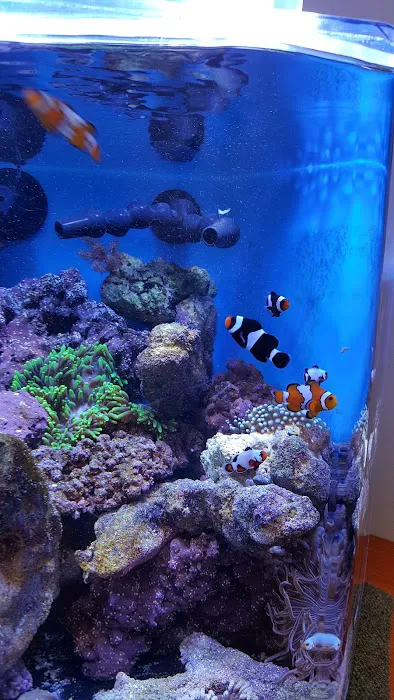 Living Art Aquatics, Inc. Picture 7