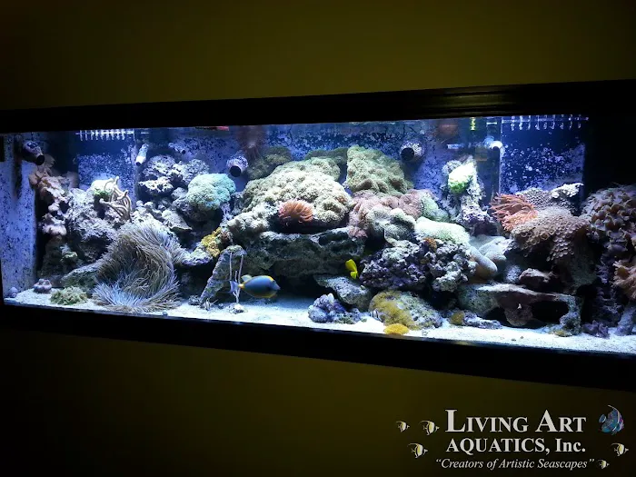 Living Art Aquatics, Inc. Picture 3