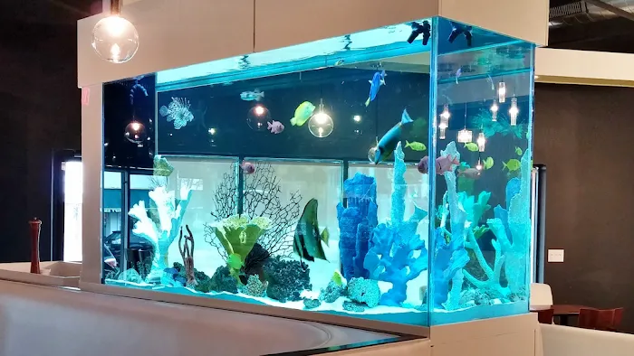 Living Art Aquatics, Inc. Picture 10