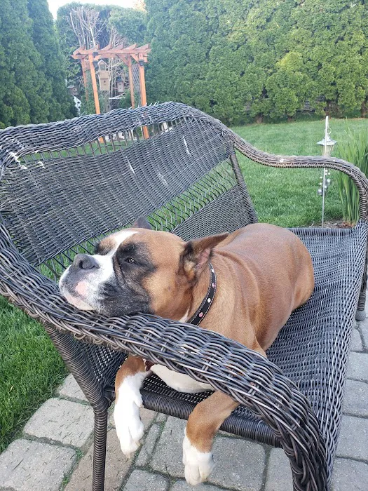 Countryside Animal Hospital Picture 3