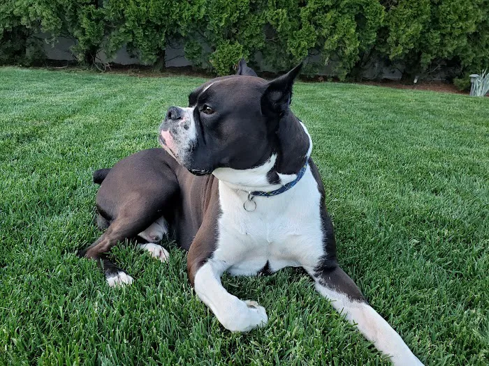 Countryside Animal Hospital Picture 4