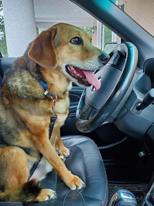 Countryside Animal Hospital Picture 2