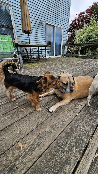 Countryside Animal Hospital Picture 1