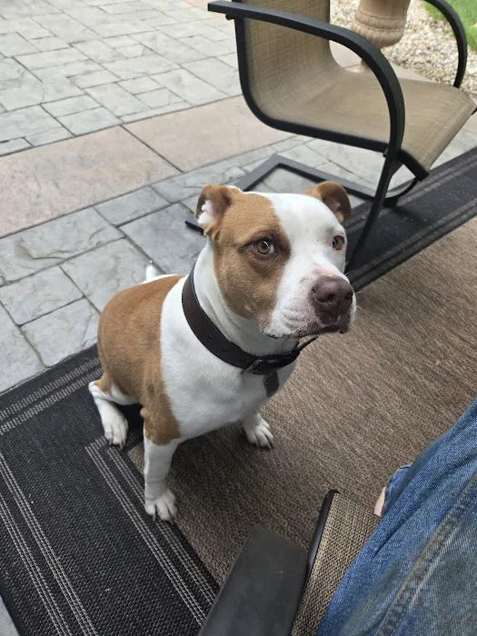 Countryside Animal Hospital Picture 8