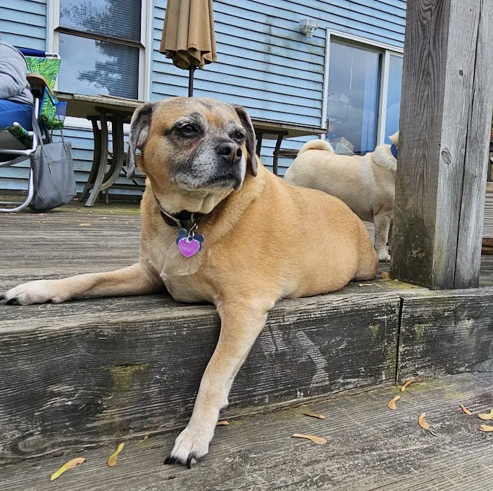 Countryside Animal Hospital Picture 9