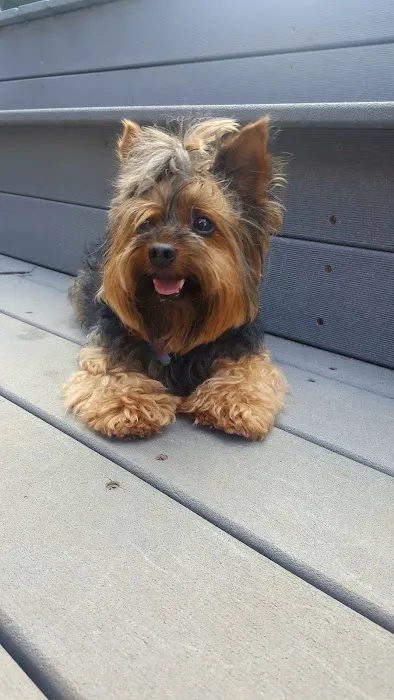 Countryside Animal Hospital Picture 5