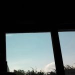 Mcisaac Margaret DVM