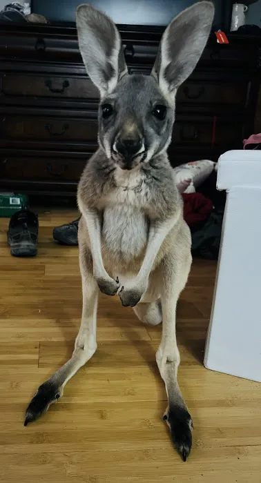 Fox Valley Animal Nutrition, Inc. Picture 2