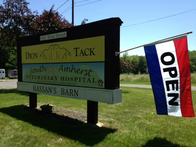 South Amherst Veterinary Hospital Picture 5