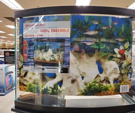 Petco