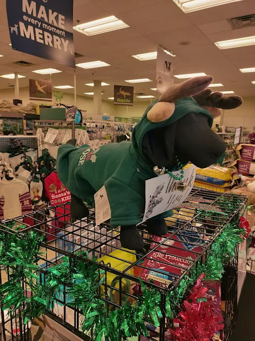 Petco Picture 4