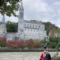 All Creatures Great & Small Animal Hospital ico