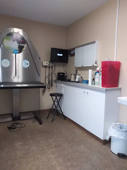 VCA South Hadley Animal Hospital Picture 5