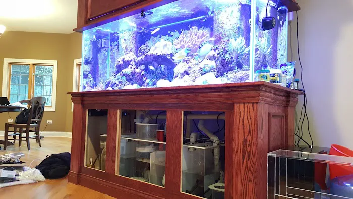 Sho Tank Aquariums Picture 2