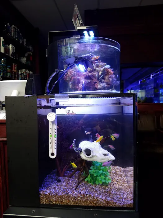Sho Tank Aquariums Picture 8