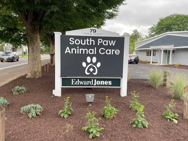 South Paw Animal Care Picture 1