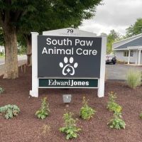 South Paw Animal Care ico