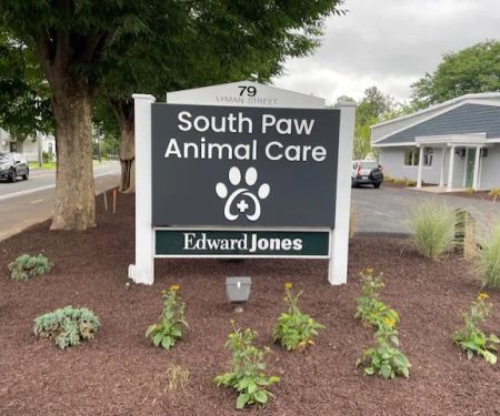 South Paw Animal Care