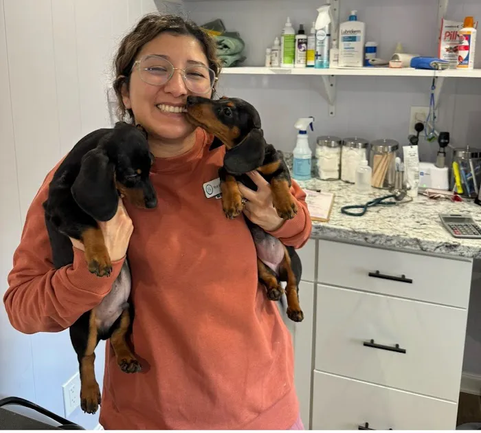 Rutland Veterinary Clinic Picture 3