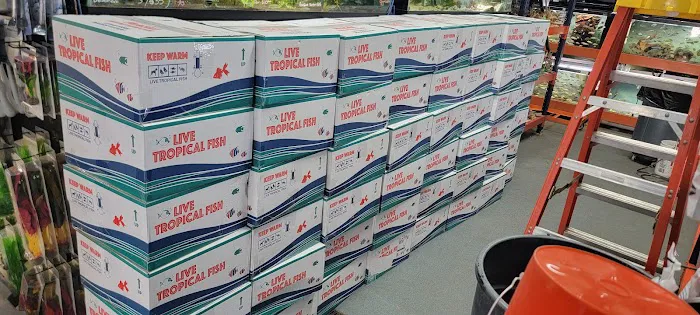 Datz Cichlids & Reptiles Picture 5