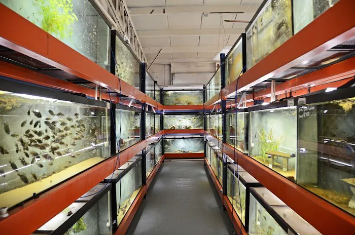 Datz Cichlids & Reptiles Picture 2