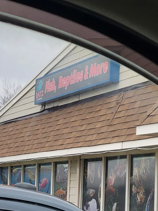 Datz Cichlids & Reptiles Picture 3