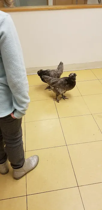 Hampshire Veterinary Hospital Picture 7