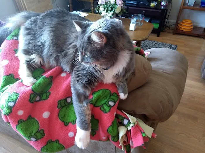 Hampshire Veterinary Hospital Picture 3