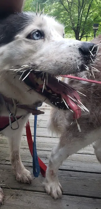 Hampshire Veterinary Hospital Picture 4