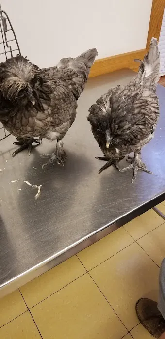 Hampshire Veterinary Hospital Picture 5