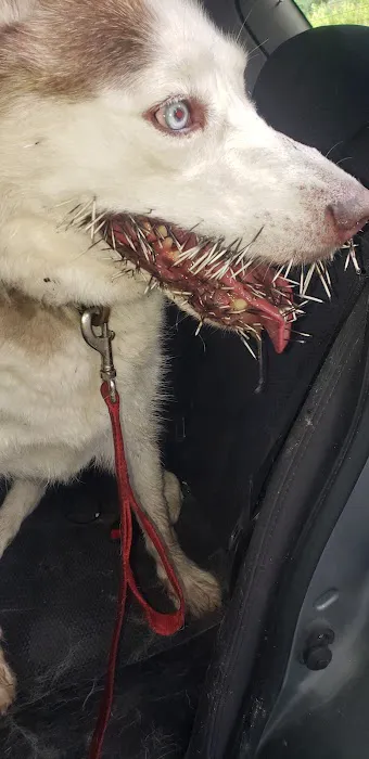 Hampshire Veterinary Hospital Picture 2