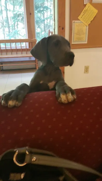 Hampshire Veterinary Hospital Picture 9