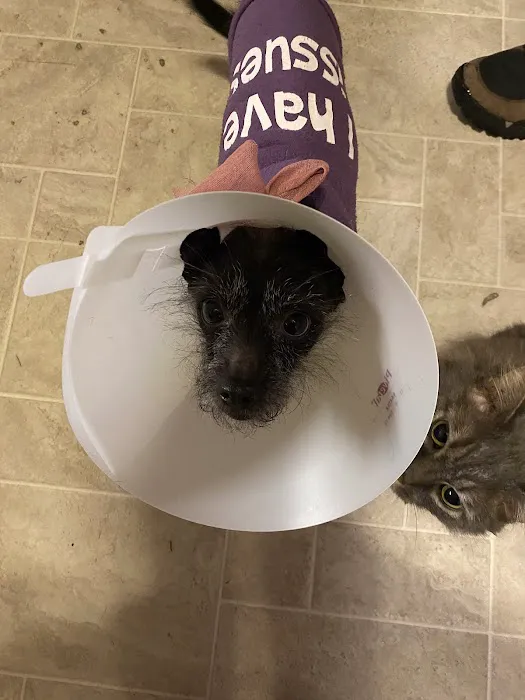 Hampshire Veterinary Hospital Picture 10