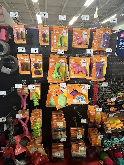 Petco Picture 9