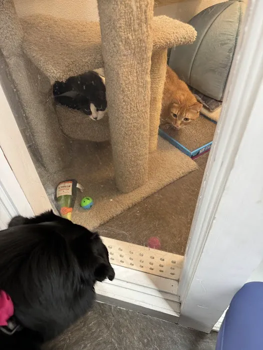 Pet Supplies Plus Portage Picture 1