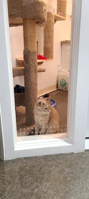 Pet Supplies Plus Portage Picture 2