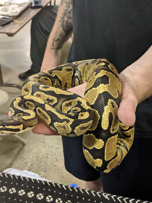 Kalamazoo Reptile Show Picture 2