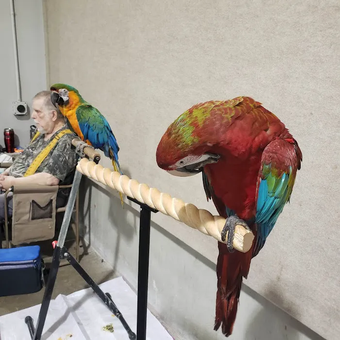 Kalamazoo Reptile Show Picture 6