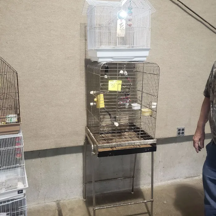 Kalamazoo Reptile Show Picture 3