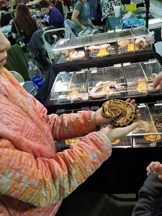 Kalamazoo Reptile Show Picture 10