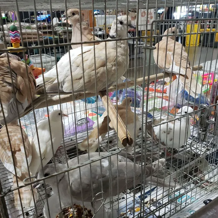 Kalamazoo Reptile Show Picture 8