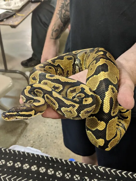 Kalamazoo Reptile Show Picture 9