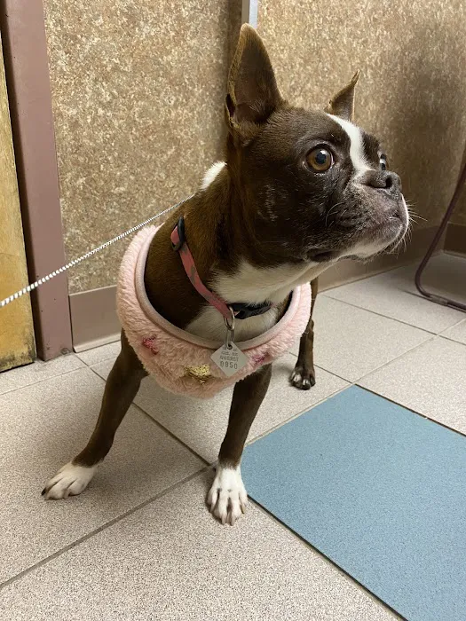 Valley Veterinary Hospital Picture 1