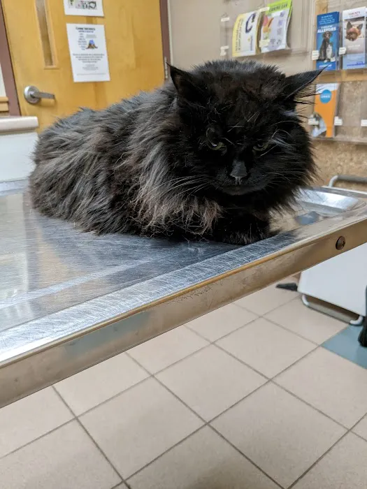Valley Veterinary Hospital Picture 6