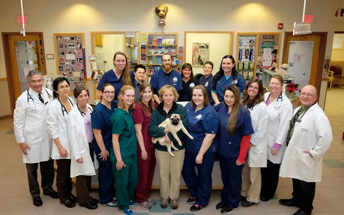 Valley Veterinary Hospital Picture 10