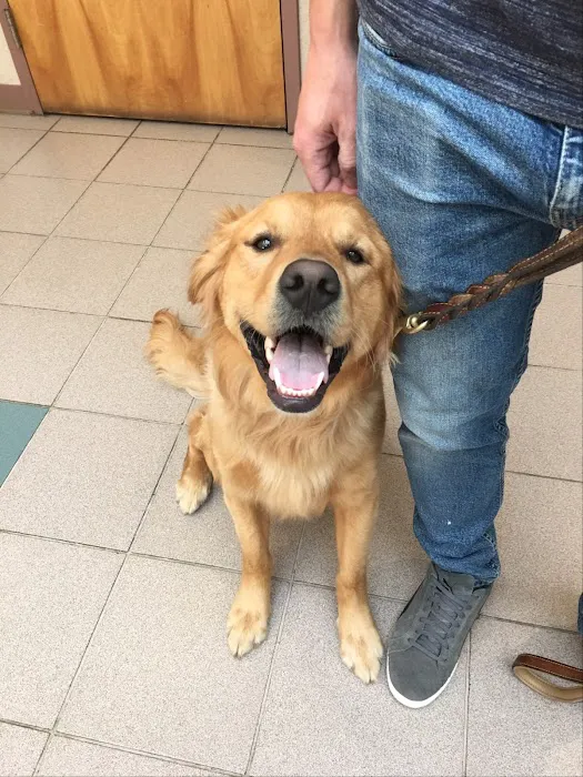 Valley Veterinary Hospital Picture 4