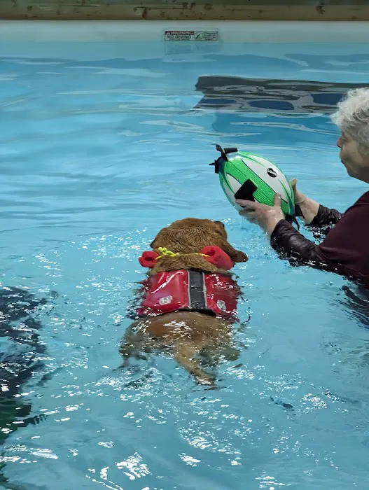 The Dog Dive, LLC Picture 3